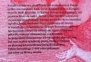 Marcin Król Europa w obliczu końca